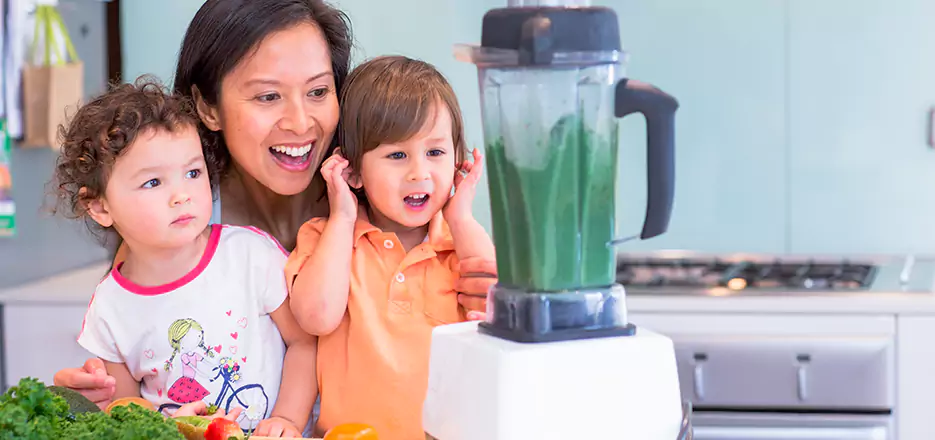 Juicer and Mixer Blender Repair in Coronado