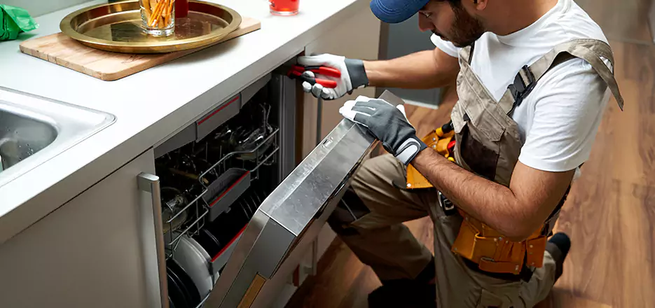 Same Day Dishwasher Not Draining Repair in Coronado
